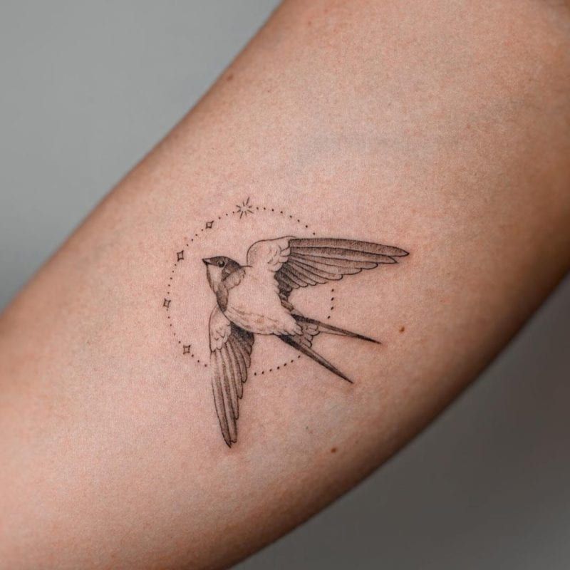 Tattoo golondrina