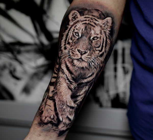 tattoo tigre realista