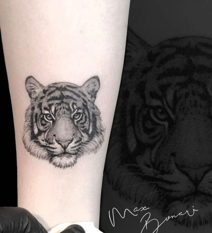 tattoo tigre microrealismo