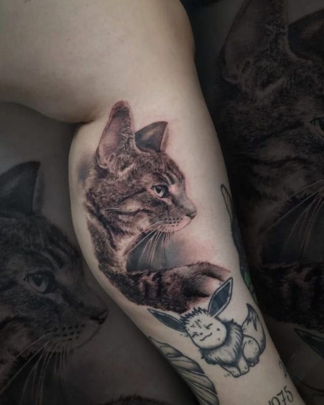 Tattoo realismo gato