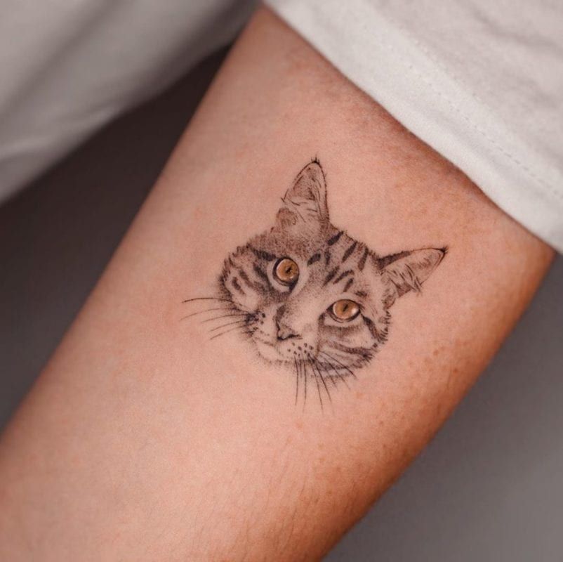 Tattoo micro realismo gato